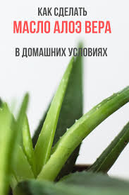 маски для лица в домашних условиях от морщин с алоэ Kak Sdelat Maslo Aloe Vera V Domashnih Usloviyah V 2020 G Aloe Tovary Dlya Zdorovya Podvodka Dlya Glaz