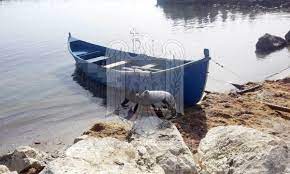 Pescuit la mare si nu stii cum???hm,ciudat,dar fie,deci. Unelte Intezise La Pescuit Descoperite In Marea NeagrÄƒ Politia De Frontiera