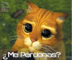 Me Perdonas Gatito Shrek Meme Gato Shrek