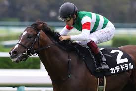 Nhk, which has always been known by this romanized initialism in japanese. Nhkãƒžã‚¤ãƒ«ã‚«ãƒƒãƒ—2019ã®ç«¶é¦¬äºˆæƒ³åˆ†æž 3ã¤ã®ãƒ‡ãƒ¼ã‚¿ã‹ã‚‰å°Žãç©´é¦¬å€™è£œ