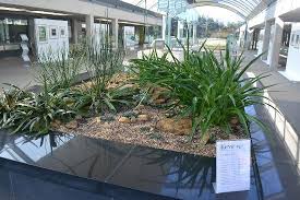 Tv documentary about the millennium seed bank partnership. The Millenium Seed Bank Picture Of Wakehurst Haywards Heath Tripadvisor