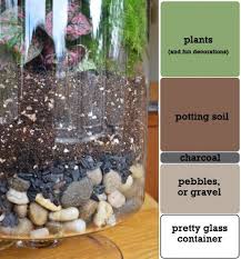 Terrarium Diy Link Is No Good But Pic Shows Layer Order Well Diy Succulent Terrarium Succulents Diy Succulent Terrarium