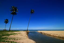 It is generally regarded as kelantan's top beach but over the past. Kelantan Pantai Irama Bachok Oneapps