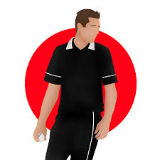 His bag of 18 wickets. Tim Southee By Me Cricket