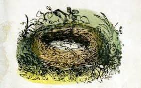I'd love for you to follow my pinterest board nature for kids, where i pin all sorts of tips and resources from picture books to nature guides to easy activities, free printables and more. Public Domain Birds Nest Illustration From Vintage Childrens Books Print Free Vintage Illustrations