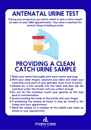 Image result for Clean Catch Urine Collection