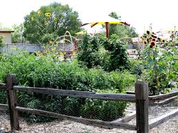 Integrated pest management, also known as ipm, is an ecosystem based strategy with the goal of some practical examples of ipm come from using the pams method. Nmsu Receives Grant For Integrated Pest Management Education Research Fed By Science