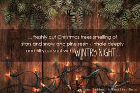 .christmas, winter, advent, business, bottleneck, christmas market, alcoholic, christmas buden, market, purchasing, trade, music, shopping, drink, christmas time, contemplative, christmas trees. Quotes About Christmas Tree 90 Quotes