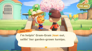 Daisy Mae - Turnip Guide - Animal Crossing: New Horizons Guide - Ign
