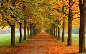 Fall Nature Wallpaper Autumn Leaves 3d Fall Colors 0974 2k Wallpaper Hdwallpaper Desktop Fall Season Pictures Hd Nature Wallpapers Fall Wallpaper