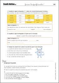 Delfynus une maitresse qui vous veut du bien: Les Adjectifs De Couleur Exercices En Cm1 Grandir Avec Nathan