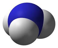 Difference Between Strong And Weak Electrolytes Chemistry Plasma Membrane Professor