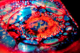 Liquid Light Show Light Show Vintage Concert Posters Light