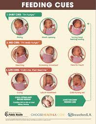 From the age of 6 to 8 weeks, babies start exploring parts of their own body using their hands or their mouth. 10 Feeding Cues Ideas Breastfeeding Baby Feeding New Baby Products