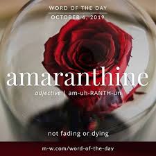 Merriam Webster Merriamwebster Instagram Photos And Videos Words That Describe Feelings Word Of The Day Uncommon Words