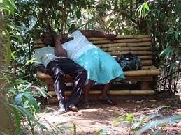 Wat happens inside and outside mmust n nt muliro garden. Caught In The Act Sex On The Bench At Muliro Gardens Kakamega Kenya