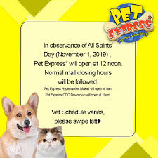 Now that you know that there are four parts to the speaking exam in pet it is time to look at them one by one. Petexpress Attention Pet Parents Planning To Visit The Facebook
