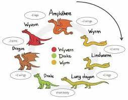 Finally A Chart For Different Types Of Dragons Dragon Drawing Dragon Art Creature Drawings