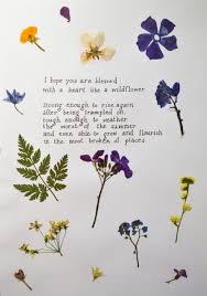 Image Result For Tumblr Quotes Wild Flower Quotes Flower Quotes Words Quotes