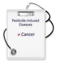 What foods should be avoided? Pesticide Induced Diseases Cancer Beyond Pesticides