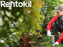 Sterling pest control is provides pest control services in thane, mumbai. Rentokil Pest Control Malaysia Carilocal