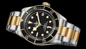 Seahorse 1000m dive watch,big size 45mm automatic diver watches for men with helium valve rotating bezel sapphire extension. Would Buying A Tudor Watch Be A Good Decision From The Perspective Of Status Prestige Is This Watch Future Proof Quora