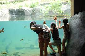 Go Wild The Bronx Zoo Has Reopened