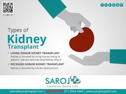 Saroj Hospital Kidney Transplant Quality Care Patient Person
