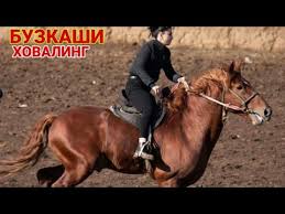 In another pot, mix the onions, celery, and sausage and cook until the onions. Buzkashi Huzhand Epadrom Buzkashi Huzhand Epadrom Buzkashi Huzhand Epadrom Vose D Razvilka Kismi 4 Az Karonavirus Ehtiyot Boshed 27 03 2020 Kuru Wallpaper Ippodrom Pri Podderzhke Shejha Sultana Ben Zaida Al