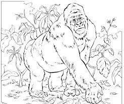 Check spelling or type a new query. Pin On Coloring Pages