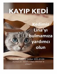 Kayip Kedi Ilani