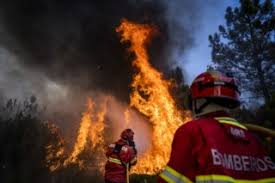 Prevenção e combate a incêndio é na firex! Mulher De 75 Anos Detida Pela Pj Por Alegada Pratica De Incendio Florestal Incendios Florestais Publico