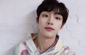 Ding Chengxin denies starring in Huacheng, Zhang Linghe has not been  officially announced