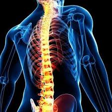 Perfil de Dr. Cesar Noe Angulo Parra