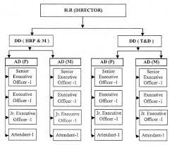 organogram of human resource department