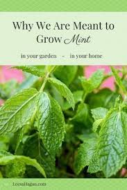 Earlene Roles (earlene0675)