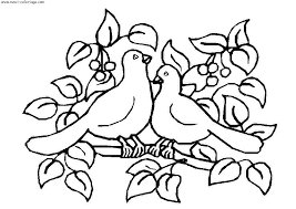 Oiseaux Dessins Az Coloriage Coloriage Dessin Oiseaux