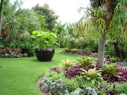 Totara Waters Subtropical Garden Tropical Garden Design Small Tropical Gardens Tropical Landscape Design