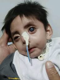 Gym Equipment Direct Supplier Philippines