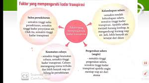 Tanah yang rata dan sesuai untuk pembinaan jaringan pengangkutan. Bab 3 3 4 Sistem Pengangkutan Dalam Tumbuhan Dan 3 5 Perbezn Sistem Antra Haiwan N Tumbuhan Youtube
