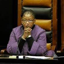 The elections were the first in which citizens of all races were allowed to take part, and were therefore also the first held with universal suffrage. Thandi Modise Biography Age Career And Net Worth Contents101