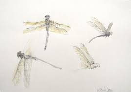 Edinburgh Scottish Gallery Ti Sorprendo Works By Victoria Crowe To 24 Dec Art Event Artist Inspiration Art