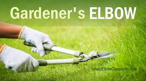 Tenderness to touch the tendon which can be felt in the crease of the elbow. Gardener S Elbow How Gardening Causes Elbow Pain How To Treat It