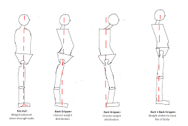 Related Image Human Body Body Weight Chart