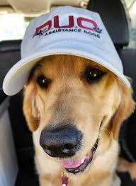 Upcoming Services at the Unitarian Universalist Church of Sarasota