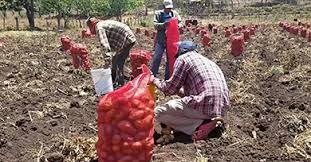 El experto que dirige el. El Invierno Arrancara Esta Semana Y Los Productores De Nicaragua No Estan Optimistas Pese A Pronosticos Positivos Con Lluvias Cenida