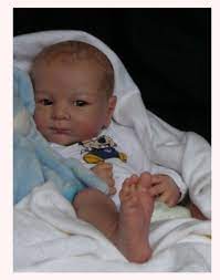 Custom Made Reborn Doll From Xavi Kit For January Only Ebay Reborn Dolls Reborn Babies Reborn Toddler Dolls