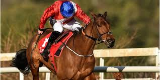 Envoi allen ретвитнул(а) the prestbury park punter. Envoi Allen Looks The Real Deal Ahead Of Naas Grade One Friday Night Racing Off The Ball