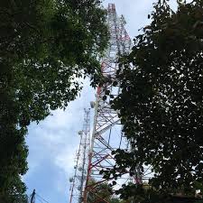 Kalau boleh kawasan hutan simpan sudah diwarta, janganlah kita dikeluarkan walaupun kerajaan negeri mungkin ada keperluan ekonomi negeri. Hutan Simpan Kekal Bukit Belau