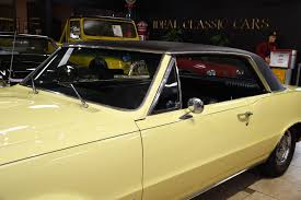Image result for Tiger Gold 1965 GTO